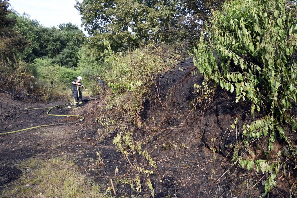 Waldbrand Koeln Hoehenhaus Hoehenfelder Mauspfad P148.JPG - Miklos Laubert